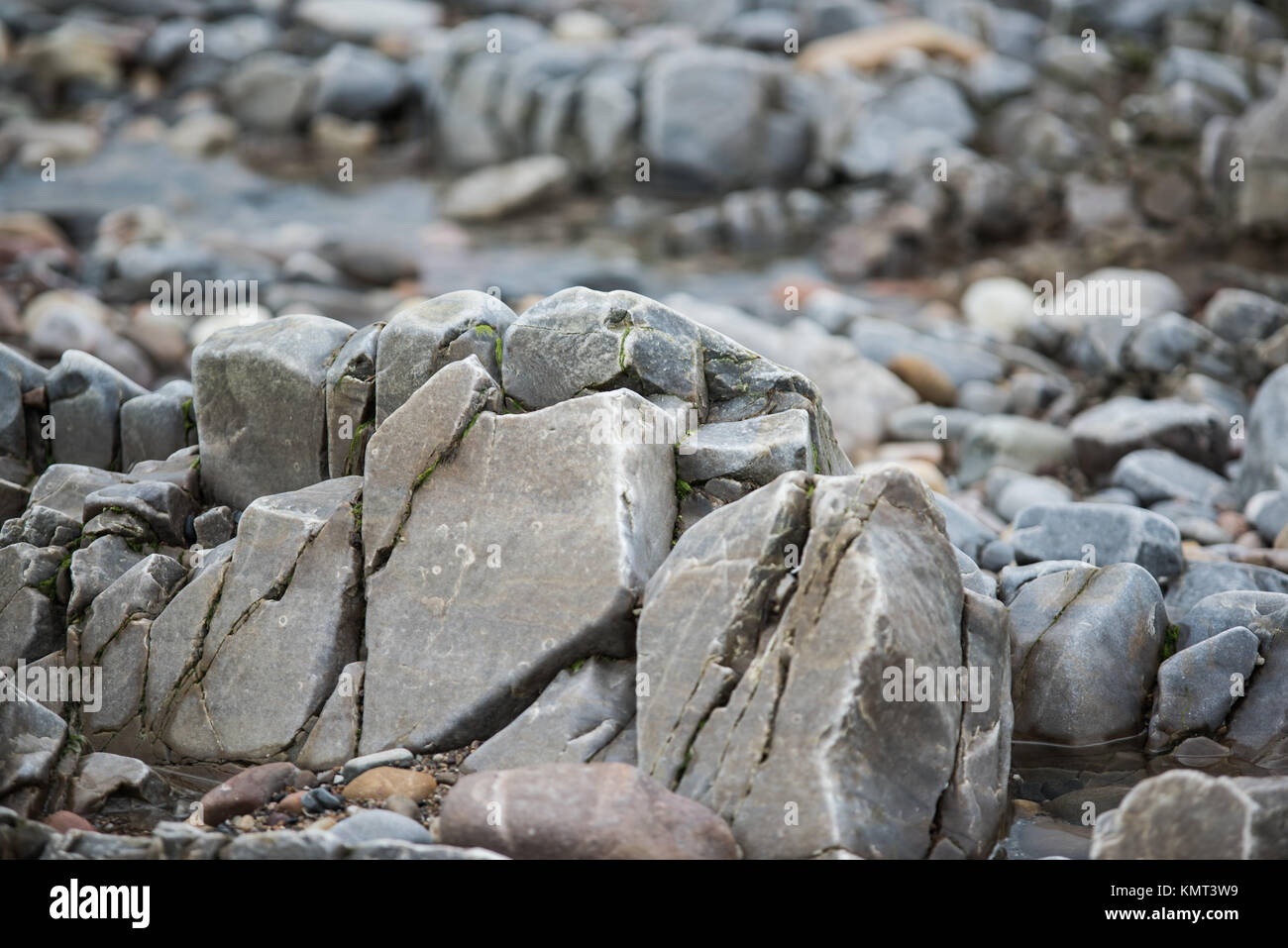 Wet Sea Rocks covered with Green Seaweeds - Coastal Scenery Background ...