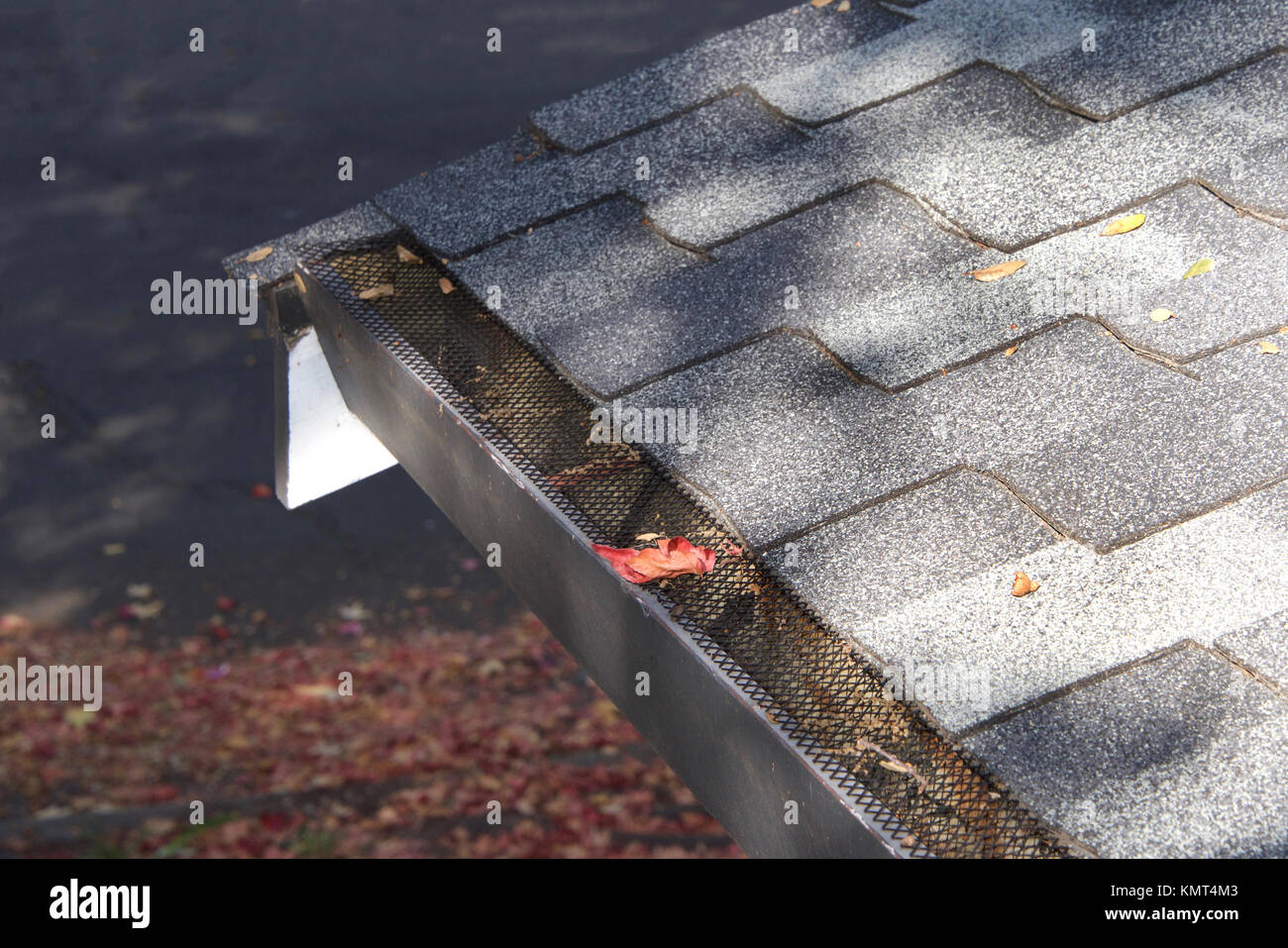 Ignoring clogged gutters linked to repair bills reaching $3,800 - MSN