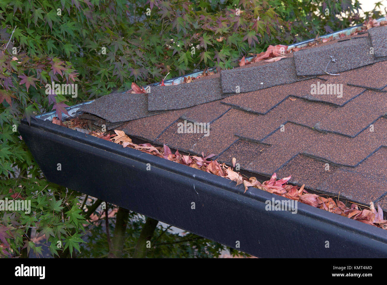 Gutters on shingle roof without gutter guards, clogged with leaves from