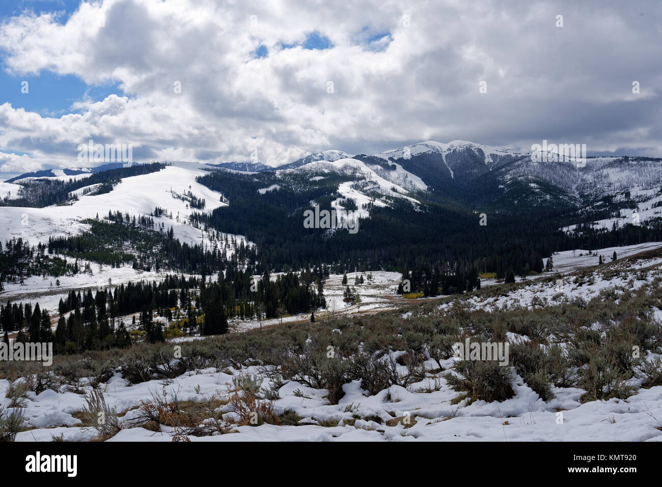 The Washburn mountain range in Yellowstone National Park Stock Photo Alamy
