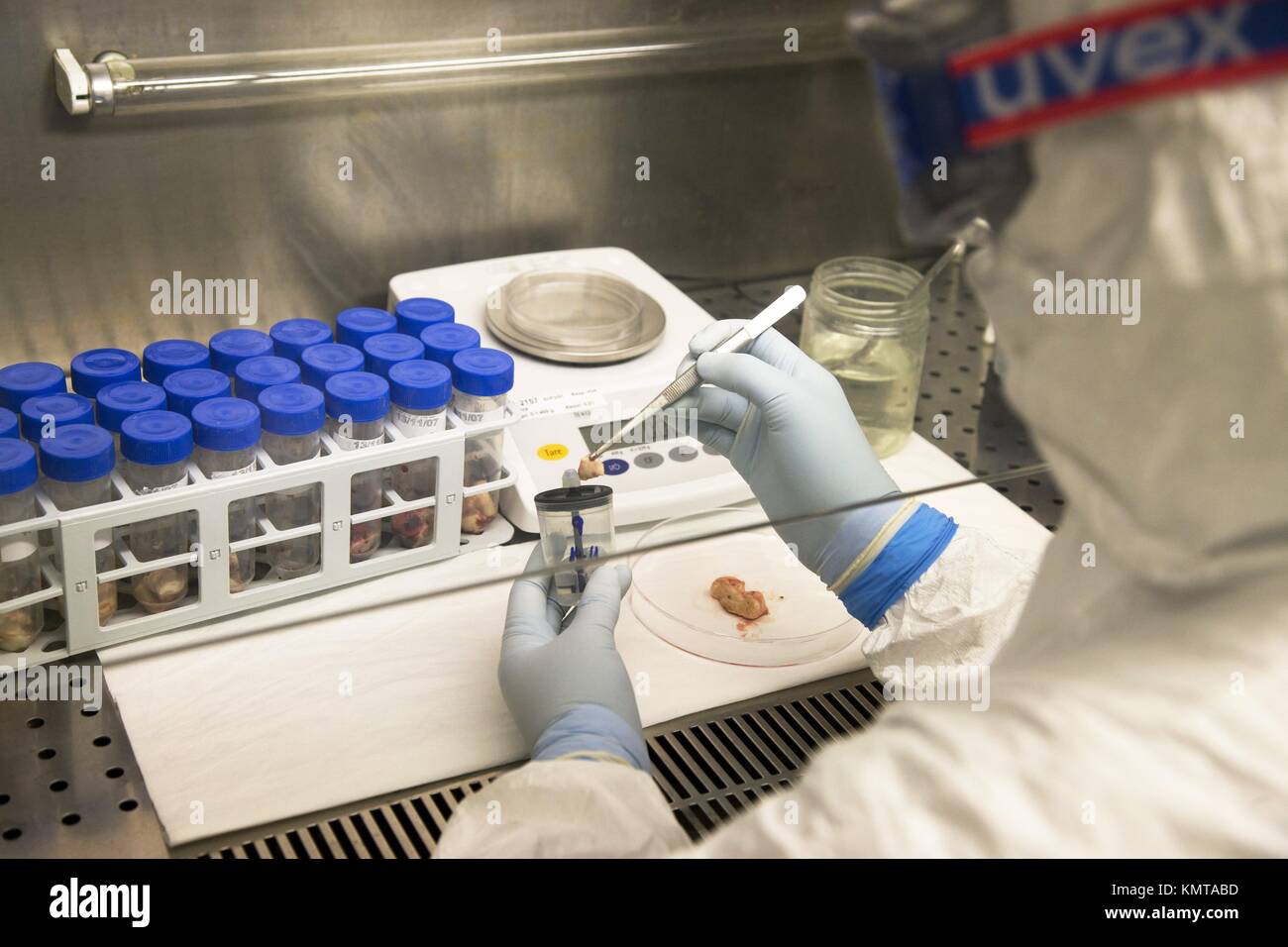 EEEETT Sample Processing, Laboratory of Bacteriology, Department of Animal Production and Health