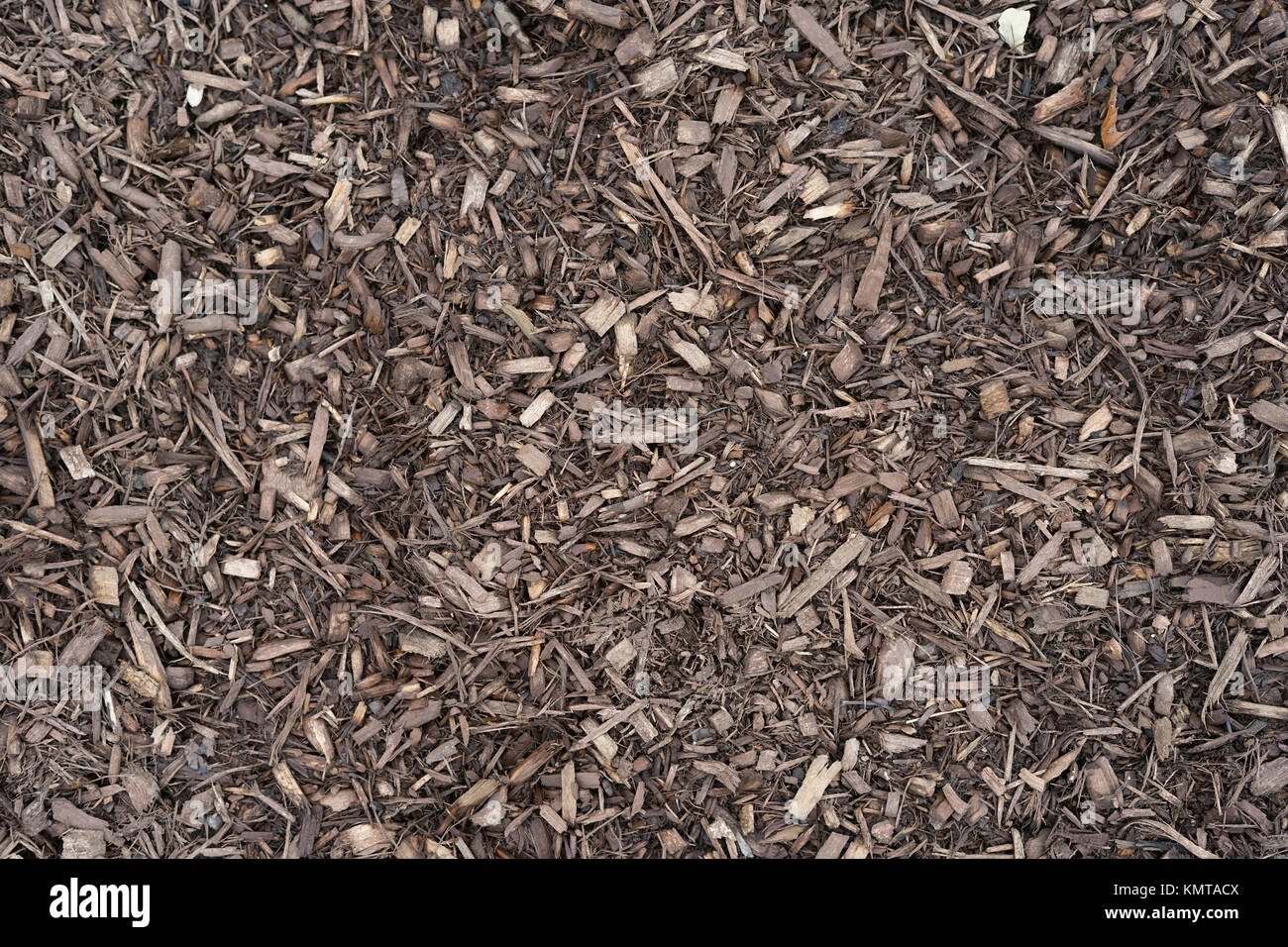 Freshly ground brown wood chips in the garden Stock Photo Alamy