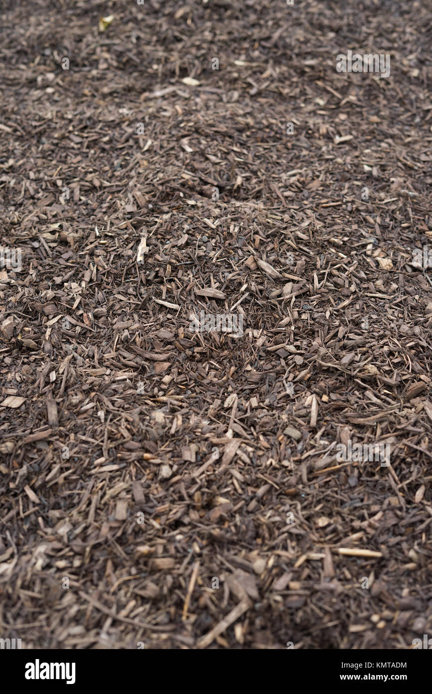 Freshly ground brown wood chips in the garden Stock Photo Alamy