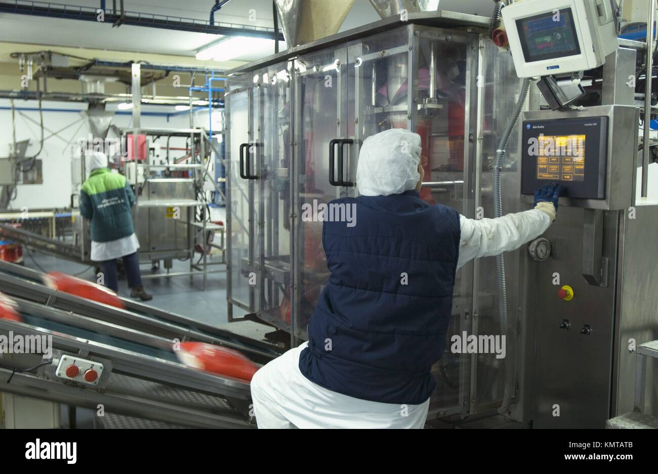 Frozen food industry, packing line. Navarre. Spain Stock Photo Alamy