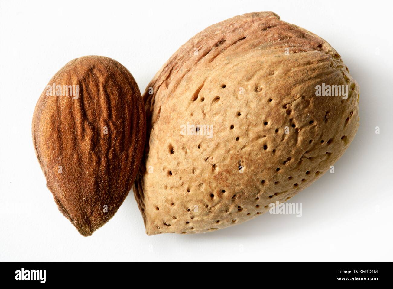 Almond macro image over white background, studio shot Stock Photo Alamy