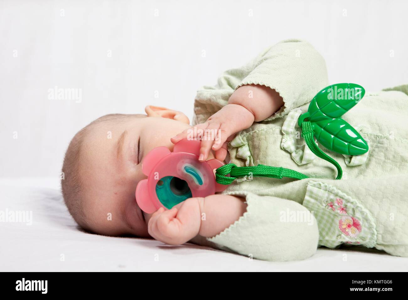 Binkie in mouth hires stock photography and images Alamy