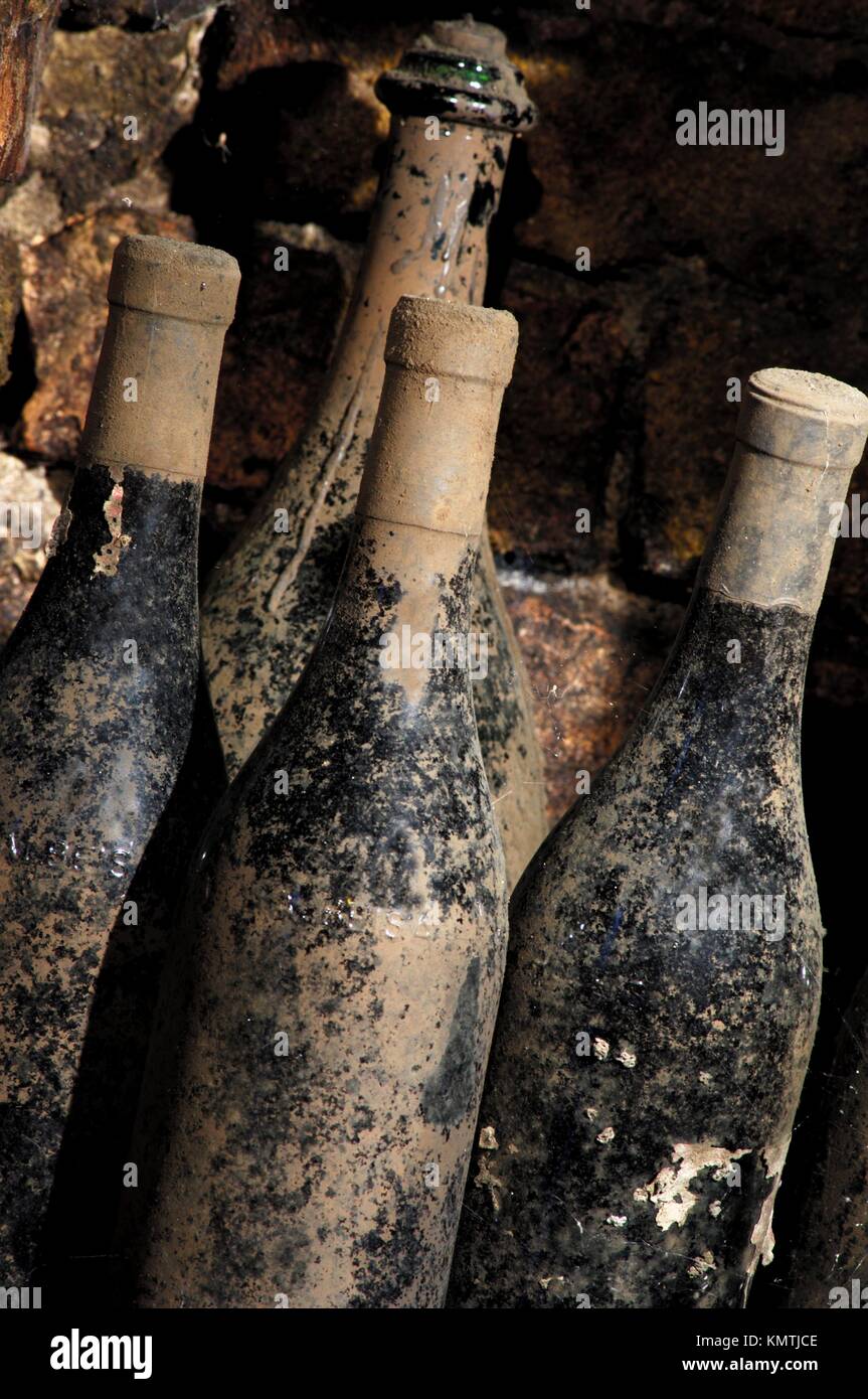 old wine bottles covered in dust and cobwebs in the cellar Stock Photo