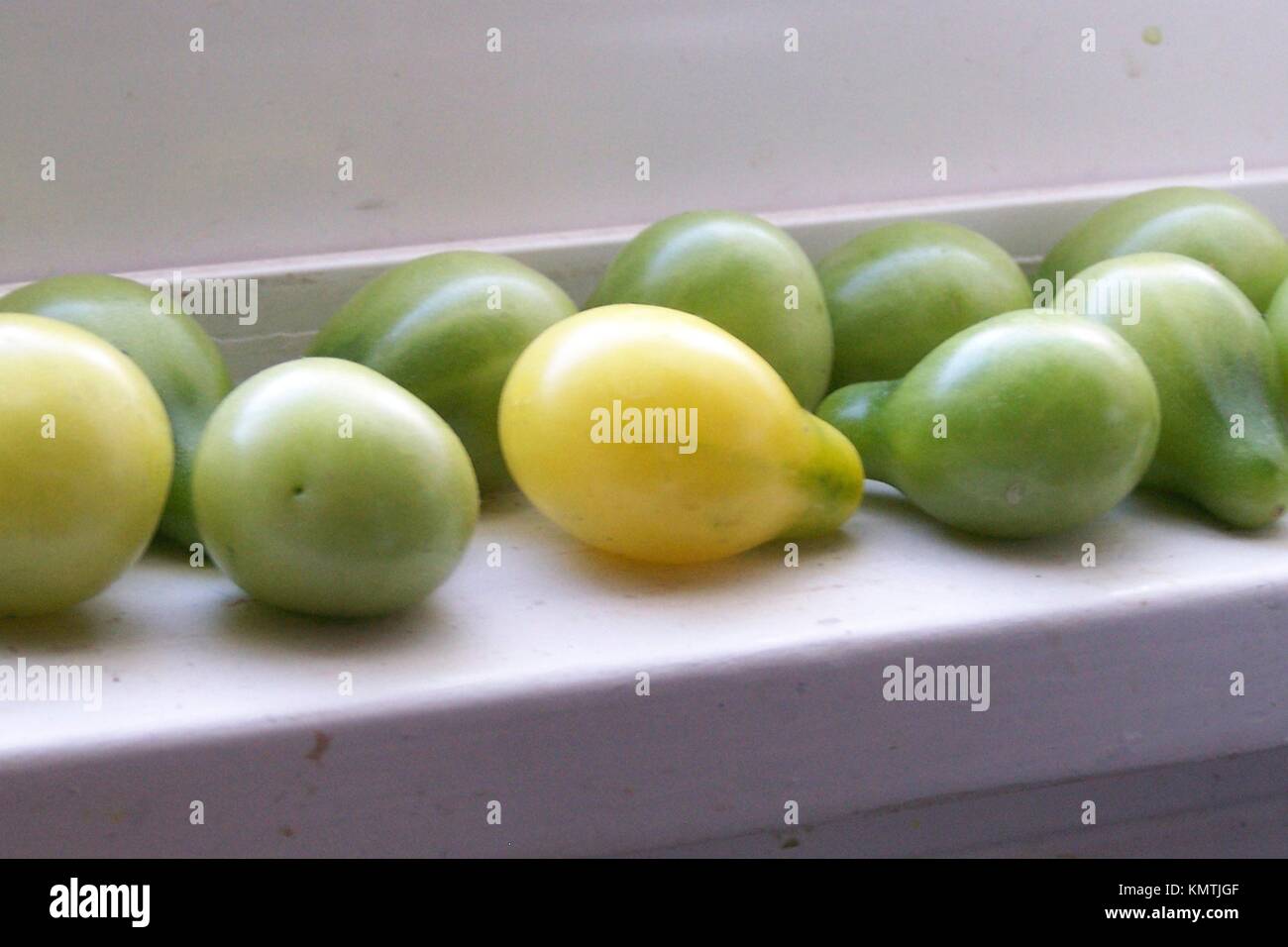 Some yellow pear tomatoes ripening in the sun on a white windowledge
