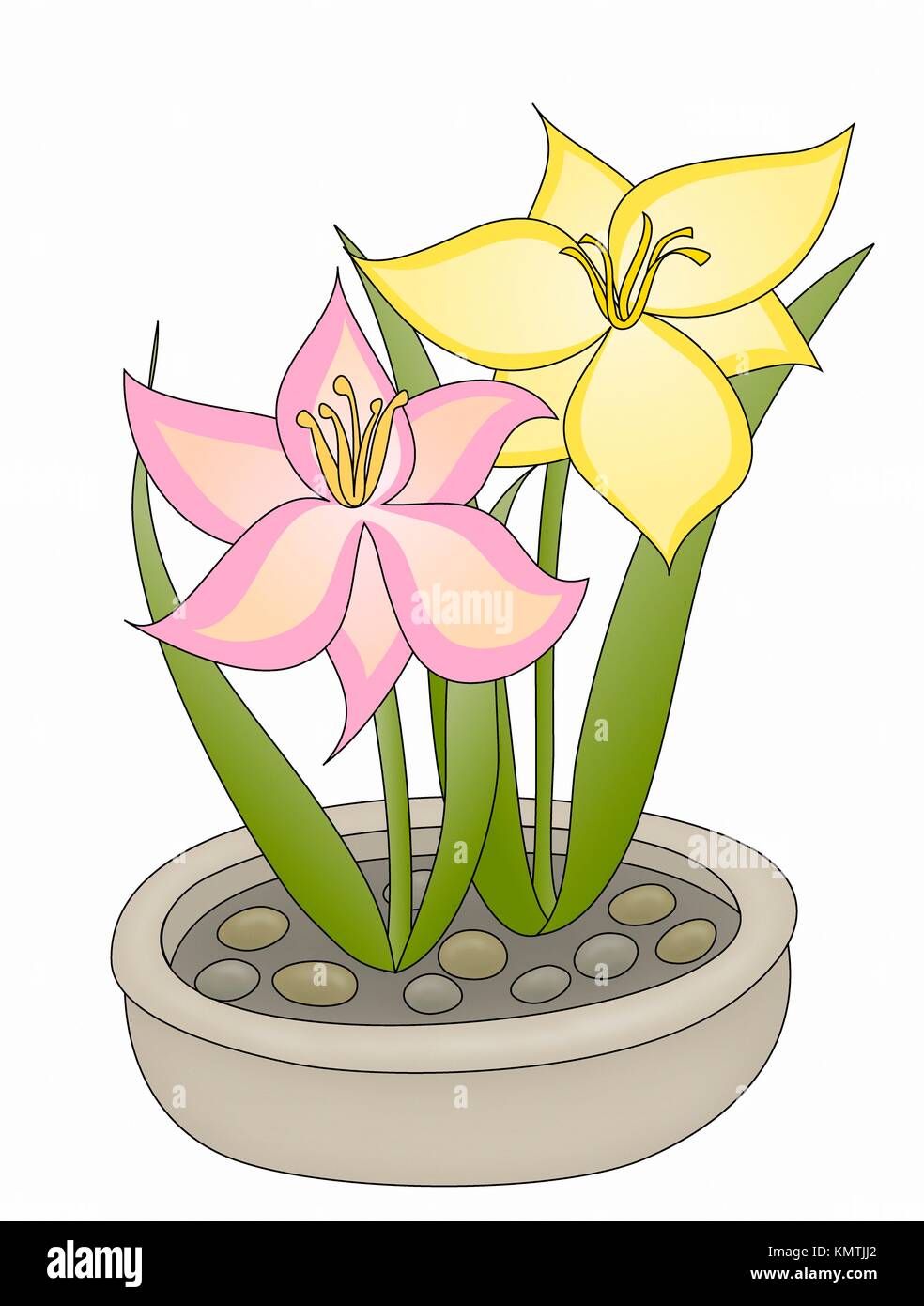 Daylilies in container rock garden Stock Photo Alamy