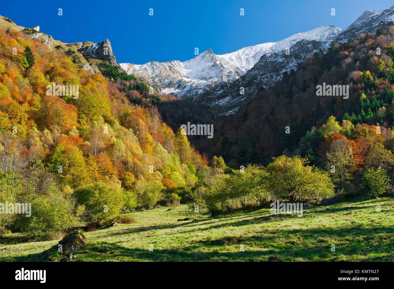 Hautes Pyrenees, France Stock Photo Alamy
