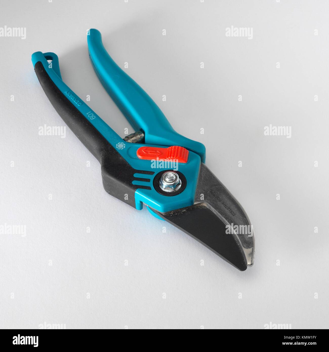 Scissors to prune Stock Photo Alamy
