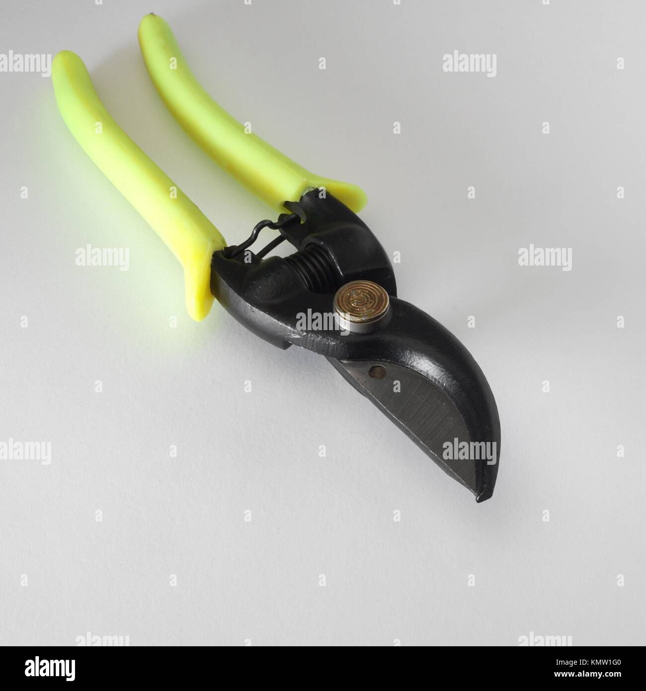 Scissors to prune Stock Photo Alamy