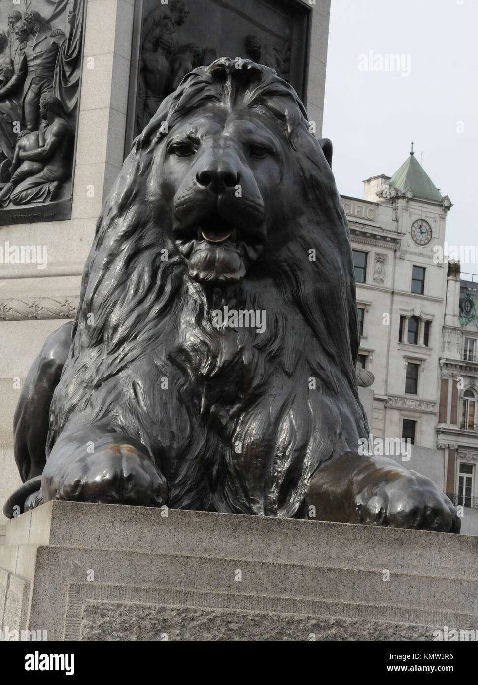 Lion in Trafalgar Square on April 7, 2011 in London, England. Photo by Barry King/Alamy Stock Photo Stock Photo
