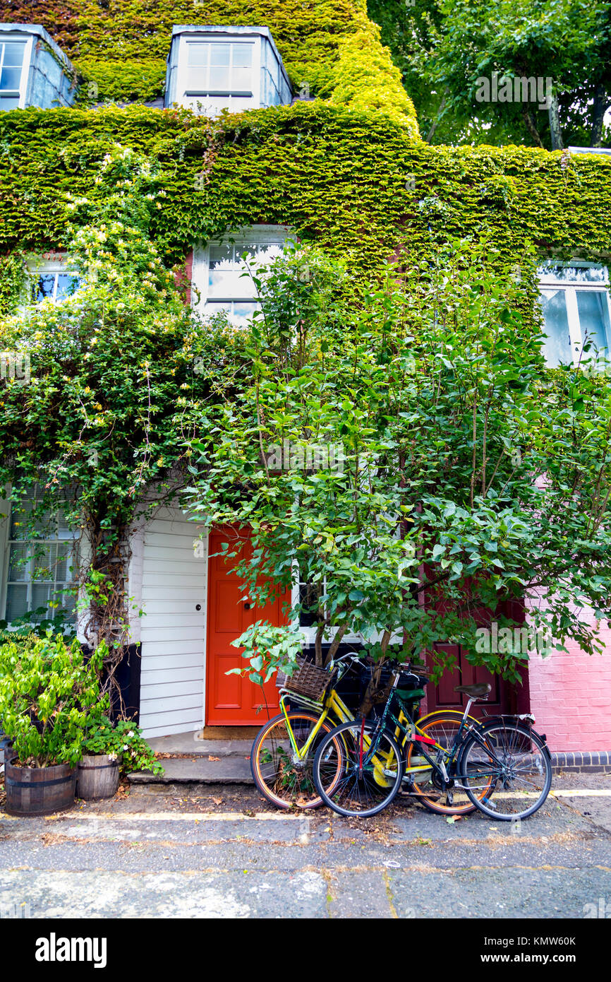 Charming house overgrown with vines and two bicycles outside, Doughty Mews, London, UK Stock Photo