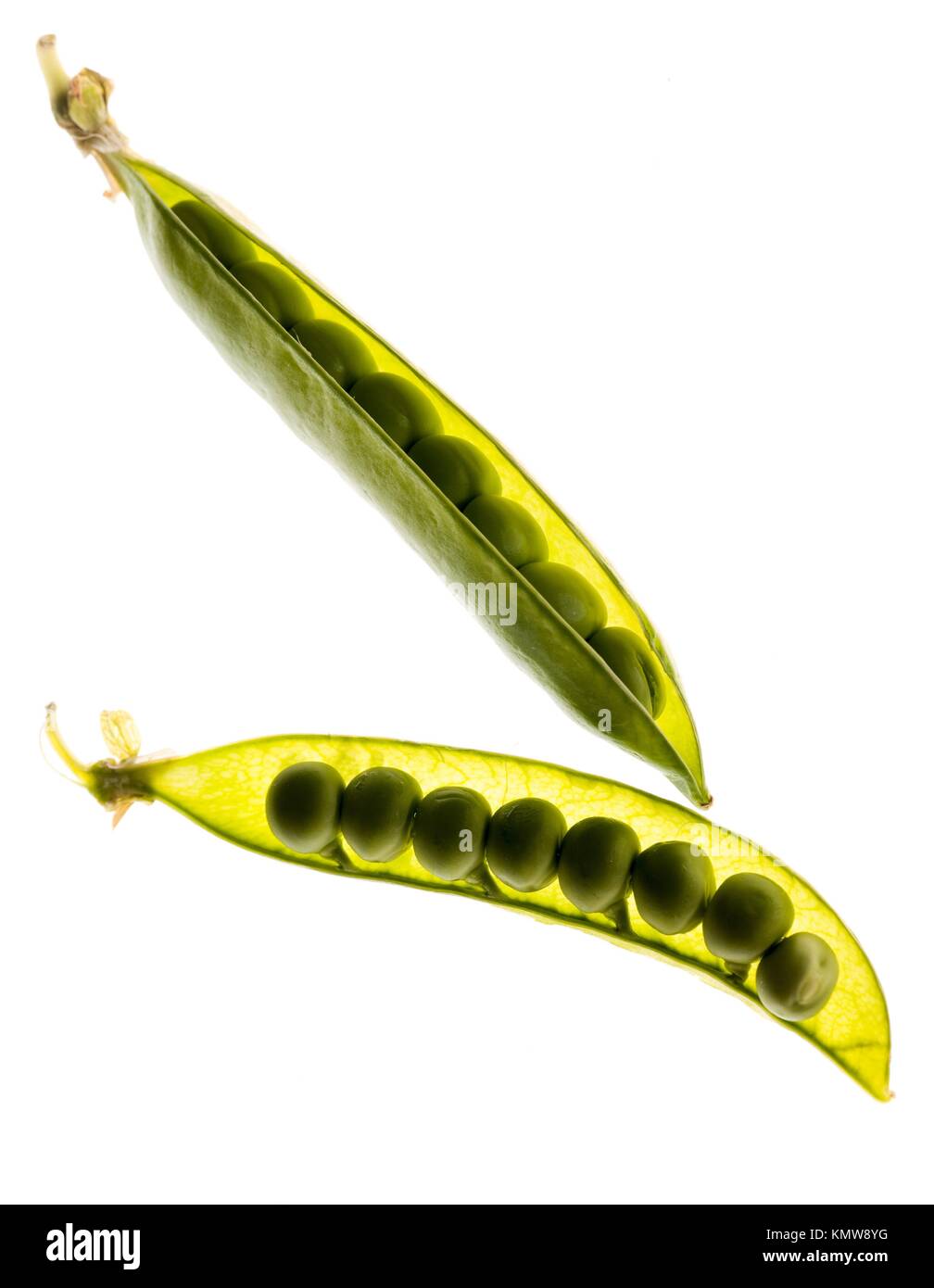 two opened pea pod over white background Stock Photo - Alamy