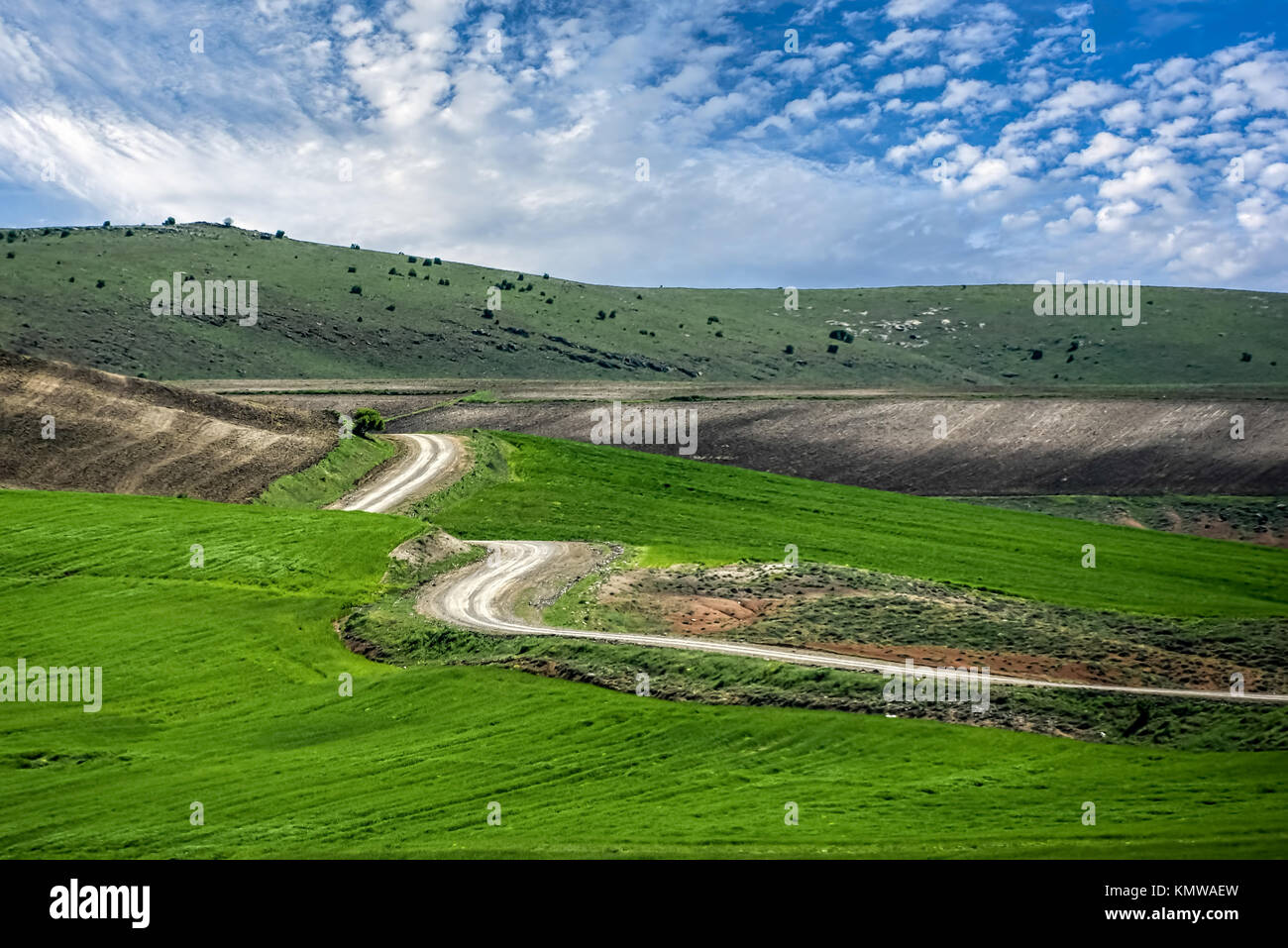 Road winding in green landscape under blue sky with white fluffy clouds ...