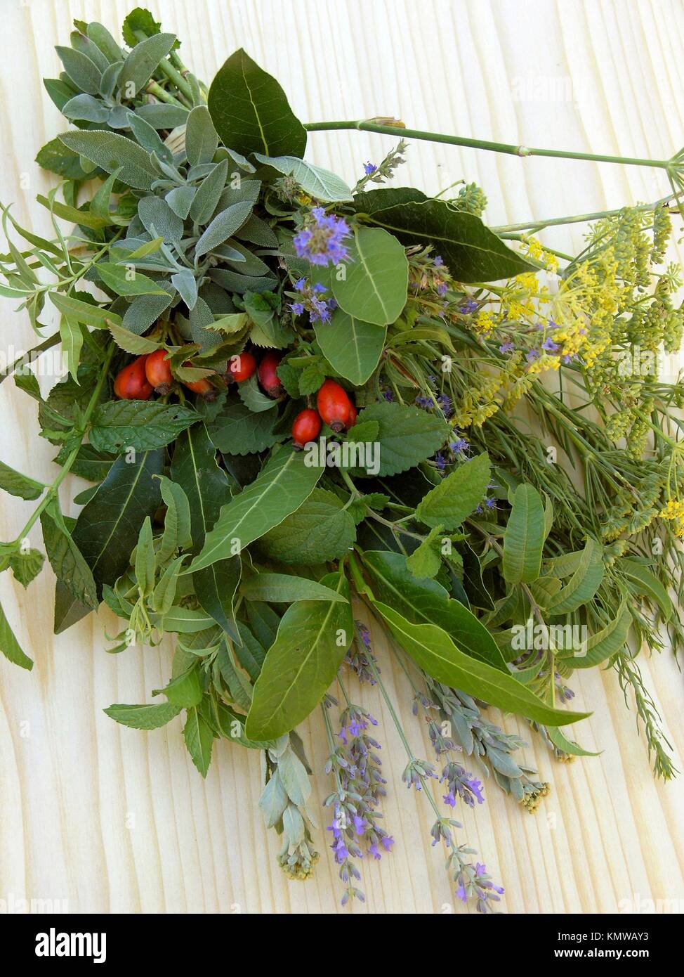 Medicinal plants bunch Stock Photo Alamy