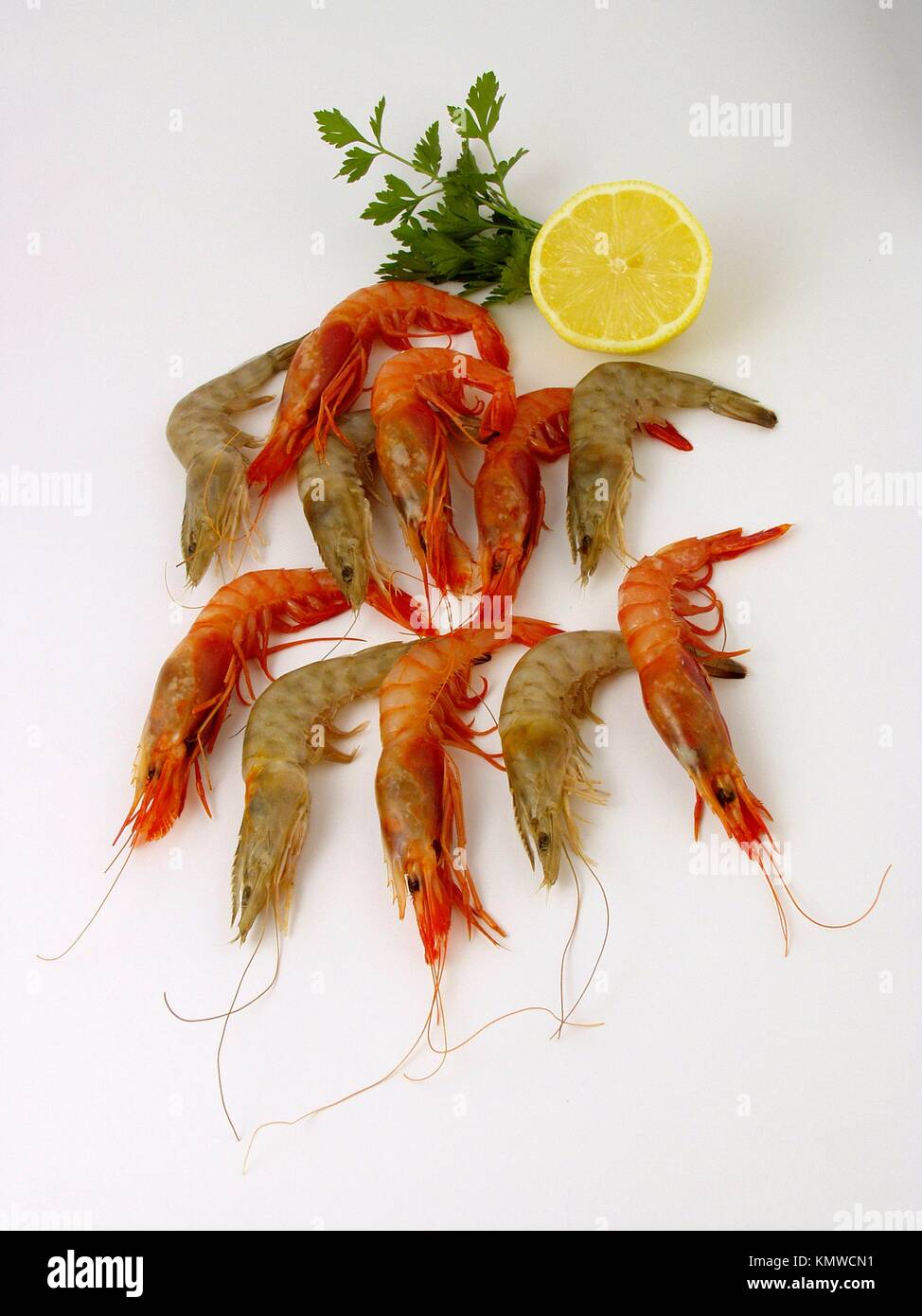 Prawns and shrimps Stock Photo Alamy