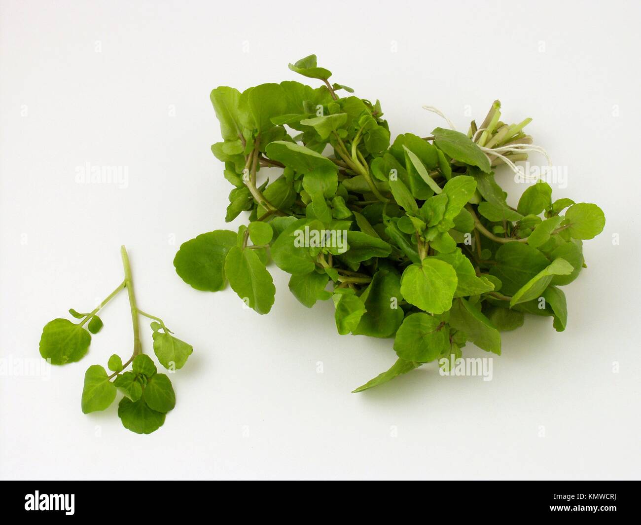 Water cress hi-res stock photography and images - Alamy