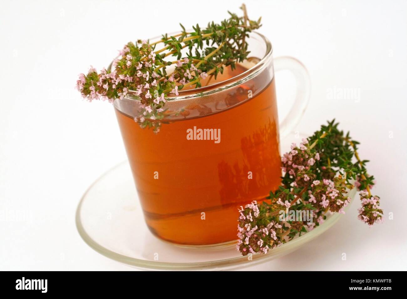 Thyme infusion Thymus vulgaris Stock Photo Alamy