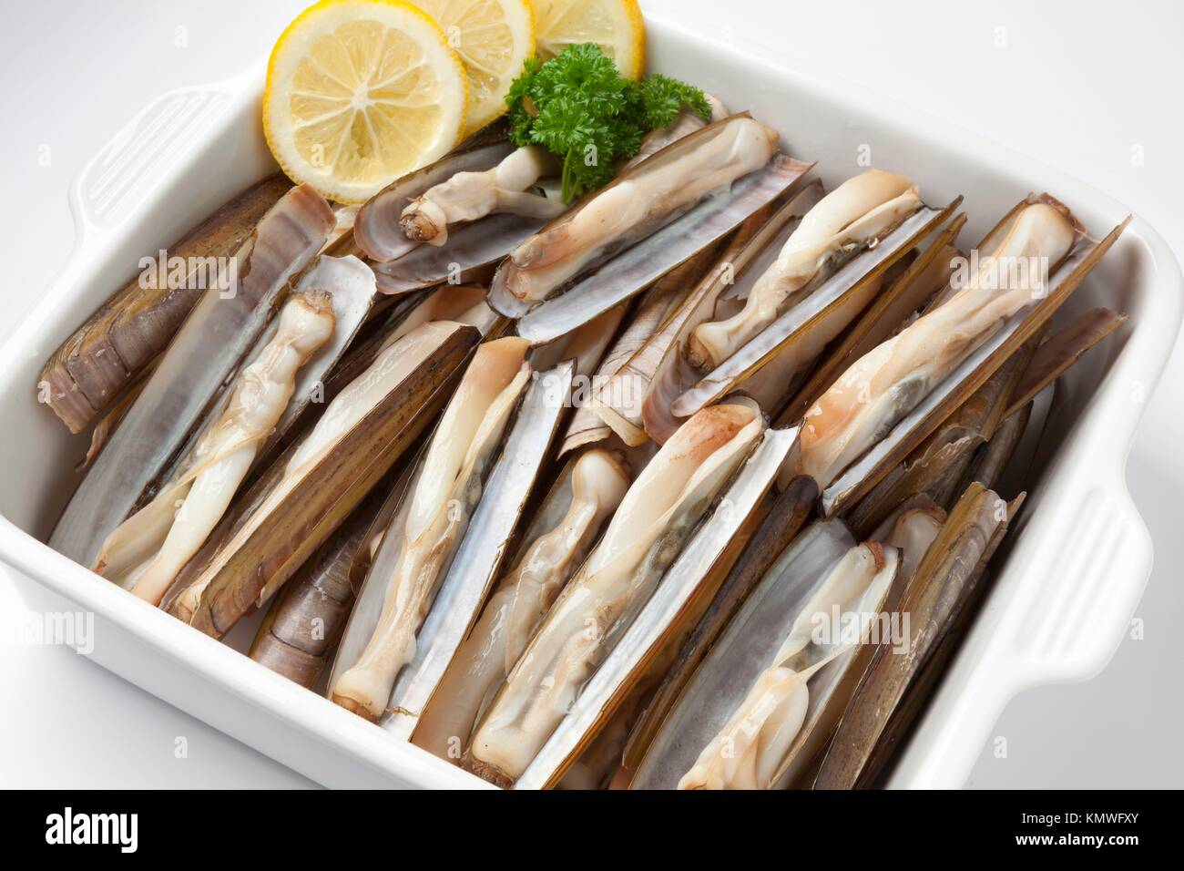 Dish with fresh cooked razor clams close up on white background Stock