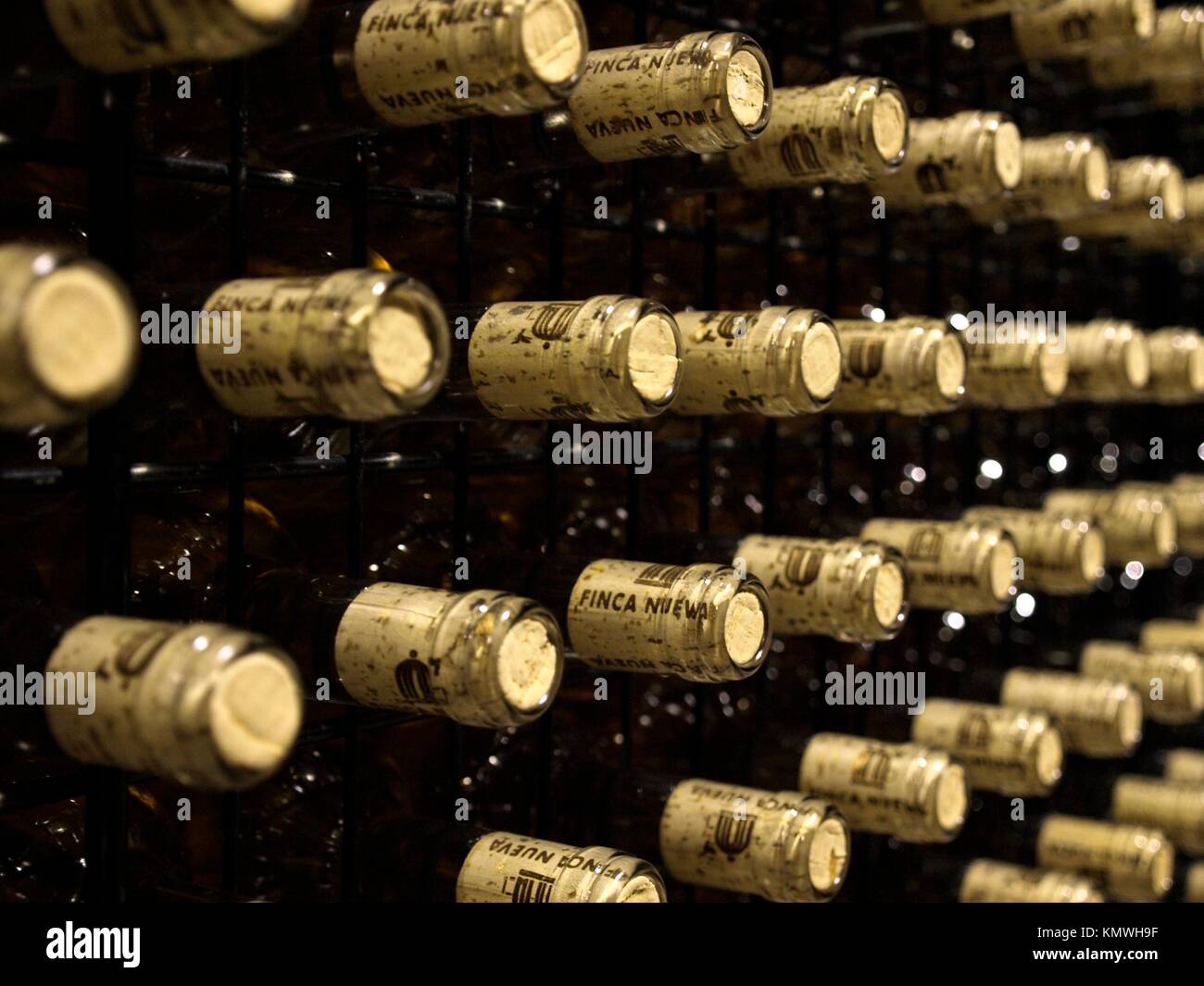 wine bottles ready to sell Stock Photo Alamy
