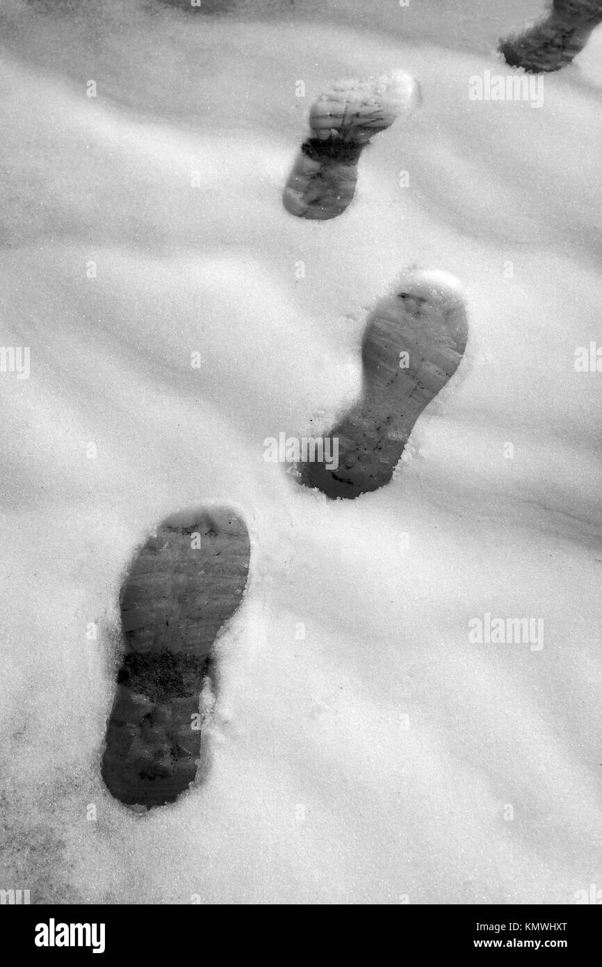 snow track shoes footprints on winter way Stock Photo Alamy