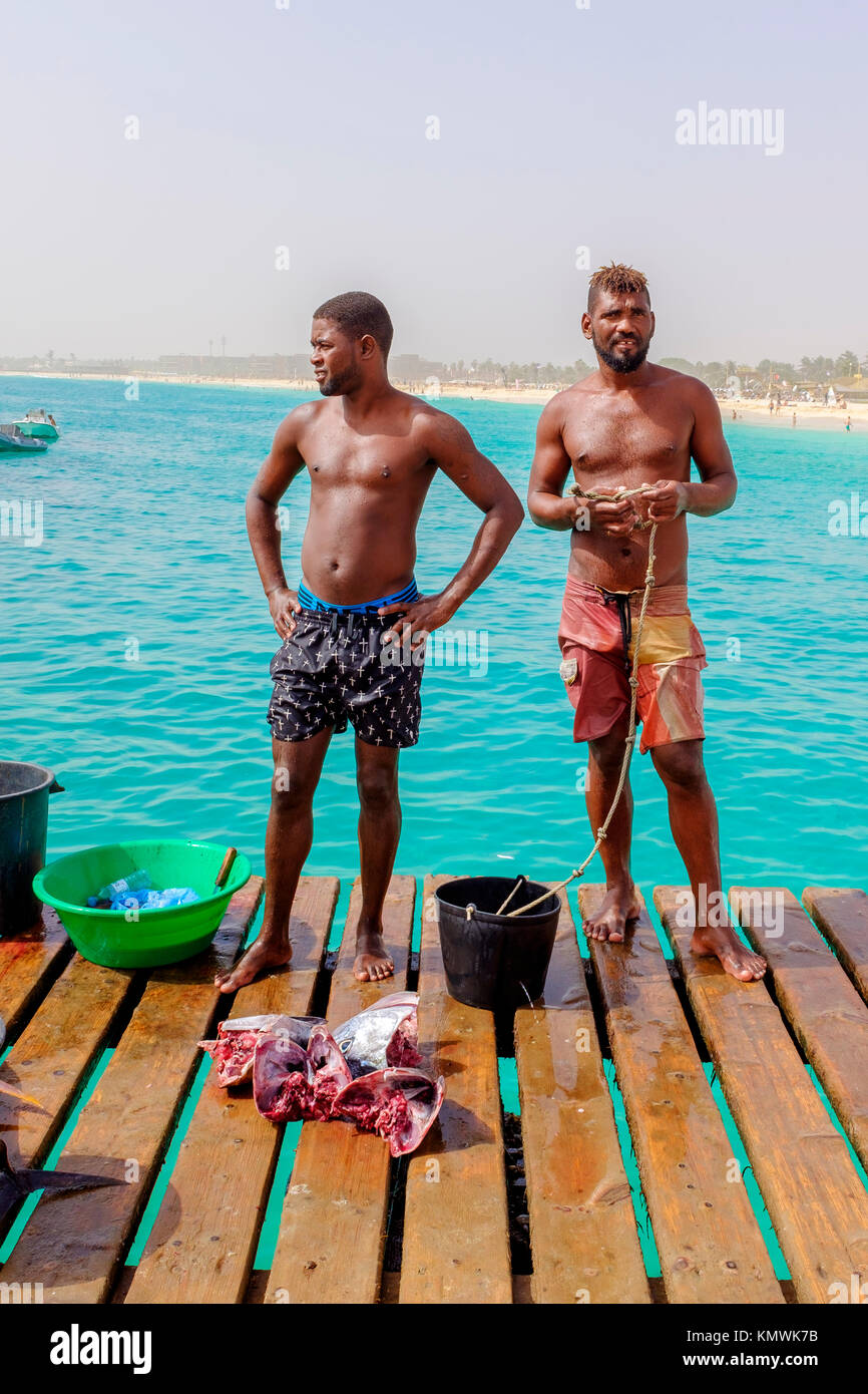 Two local fishermen on the pier at Santa Maria, Cape Verde selling tuna heads, Africa Stock Photo