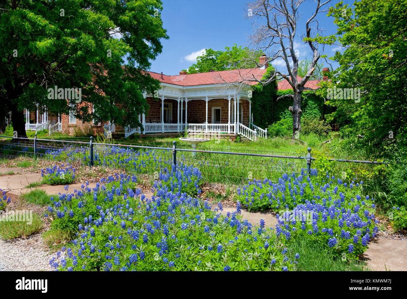 A home with wildflowers in Mason, Texas, USA Stock Photo Alamy