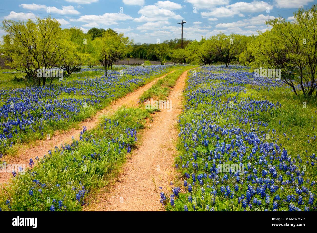 double track trail