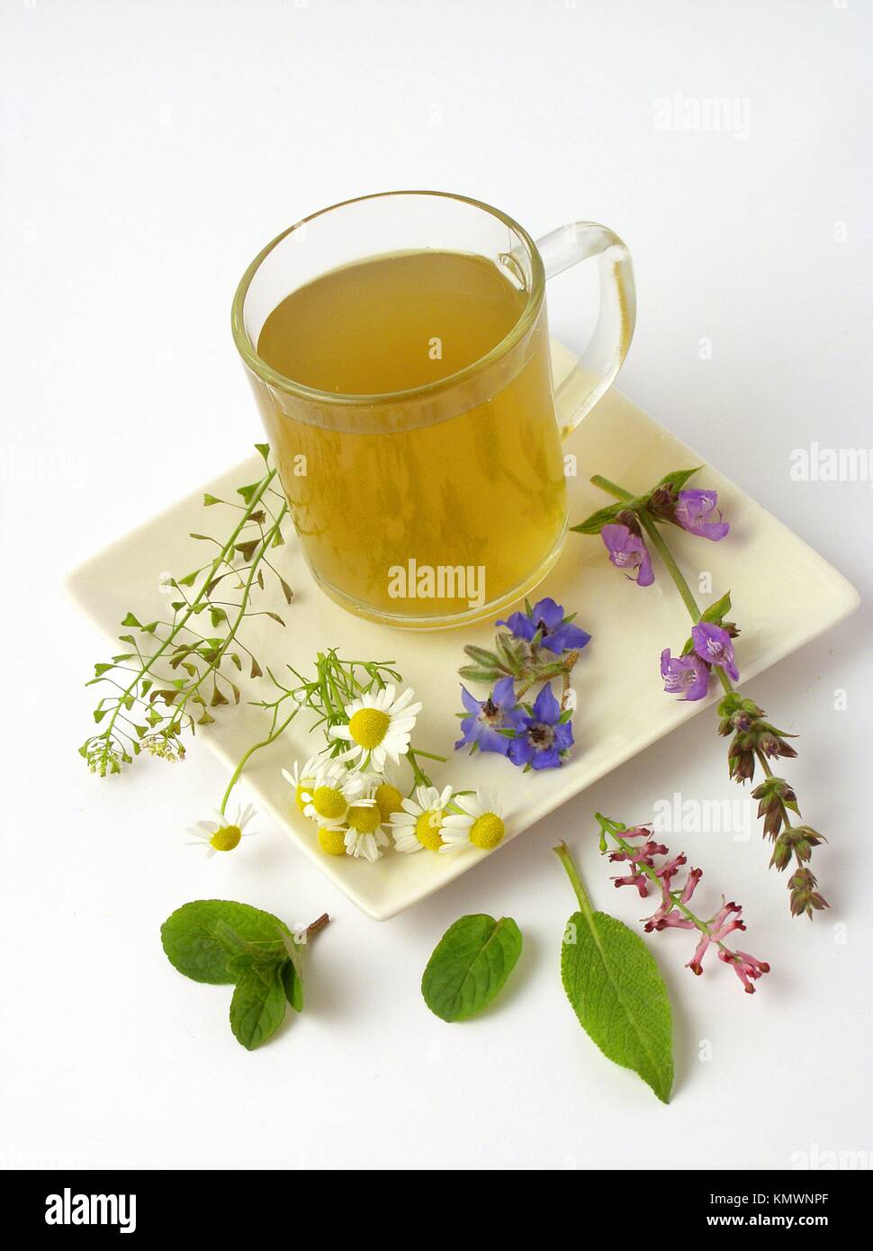 Herbs infusion Stock Photo Alamy