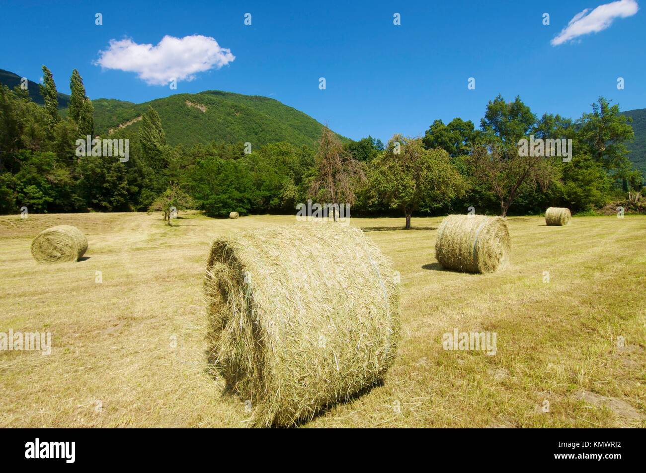 straw bales in Biescas, Huesca, Pyrenees, Aragon, Spain Stock Photo Alamy
