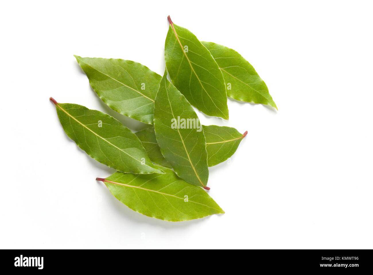 Bay Leaves On White Background Stock Photo Alamy