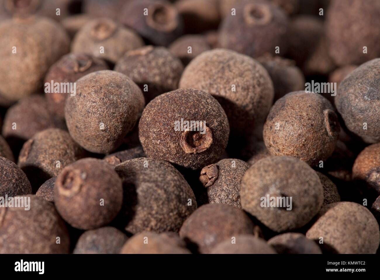 Dried Pimento Berries Full Frame Ready To Use In A Dish Stock Photo Alamy