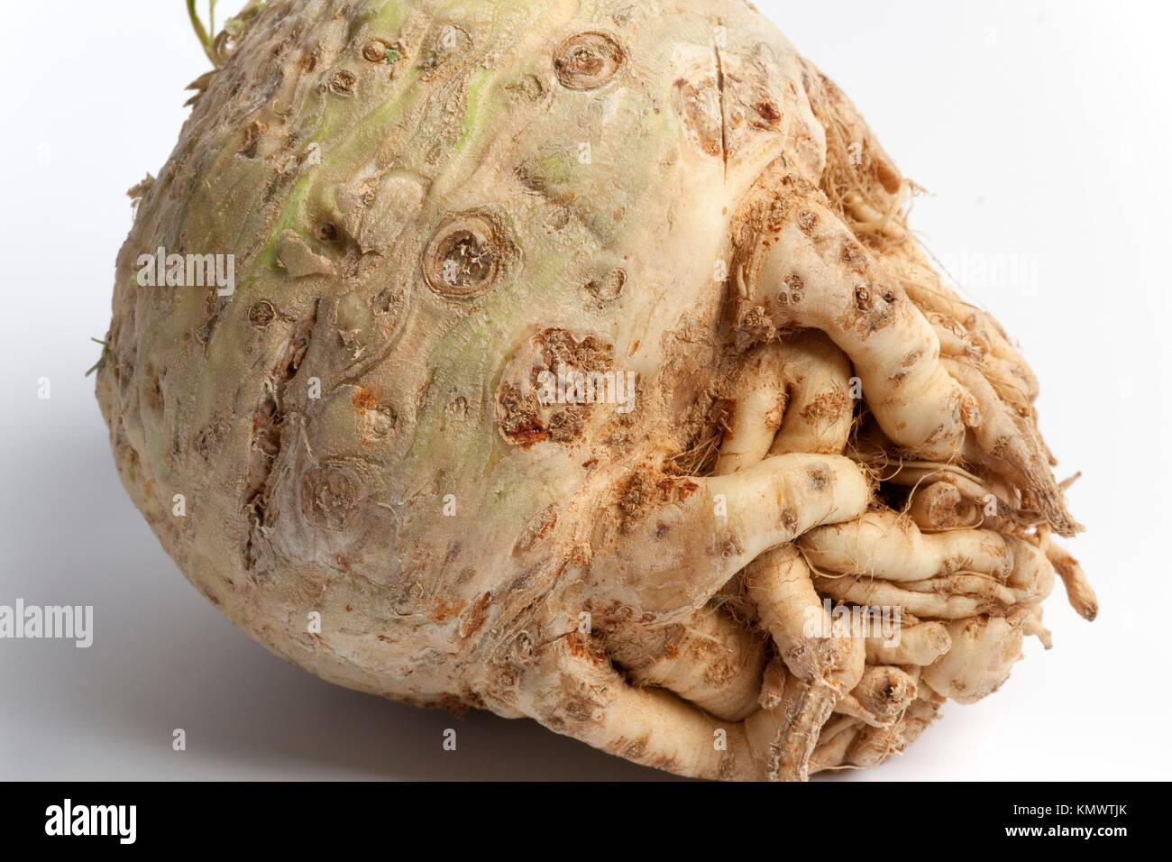Celery bulb hires stock photography and images Alamy