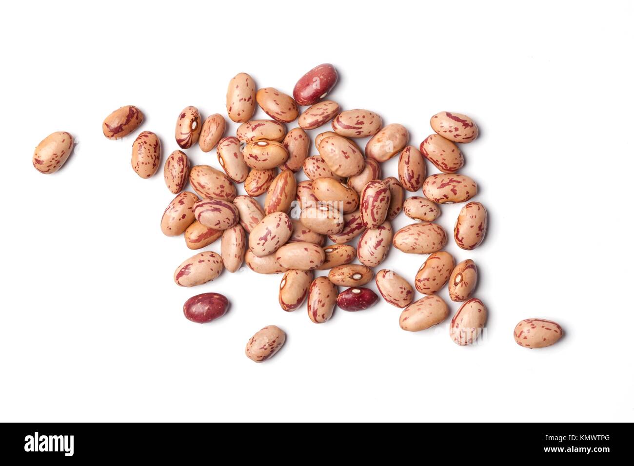 Pinto beans ,Phaseolus vulgaris Stock Photo