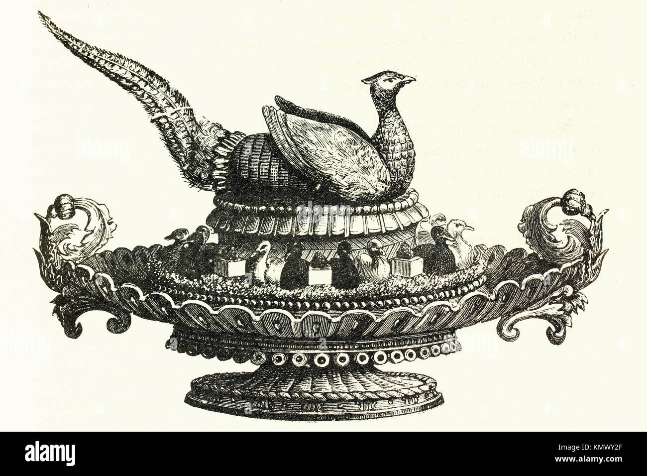 Cooked pheasant in a tray Attractive presentation Antique illustration 1892 Stock Photo