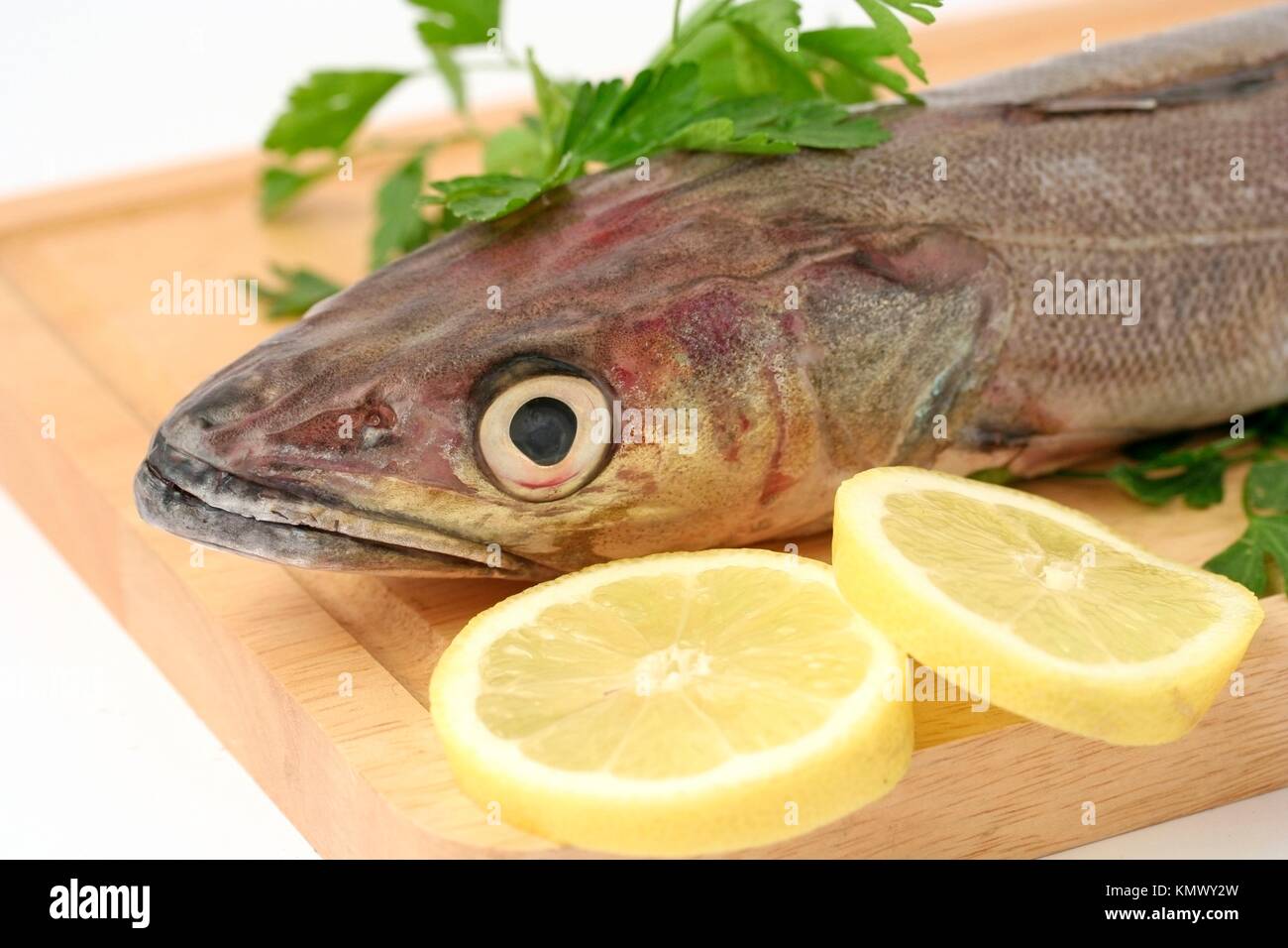 Hake head hires stock photography and images Alamy