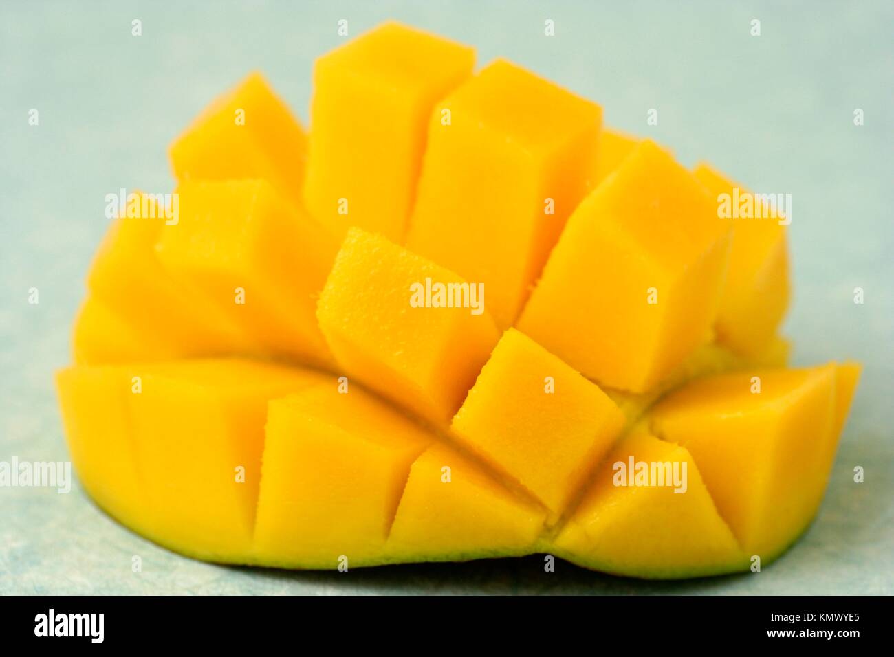 Mango Mangifera indica Stock Photo Alamy