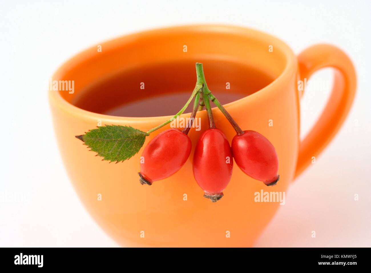 Rose hips infusion Rosa canina Stock Photo Alamy