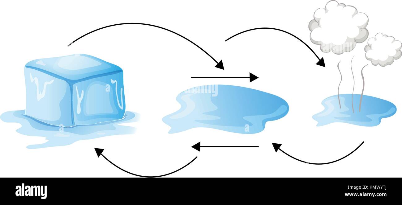 Diagram showing how water changes forms illustration stock vector art