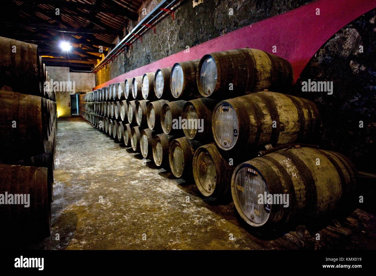 Burmester winery, Porto, Douro Province, Portugal Stock Photo Alamy