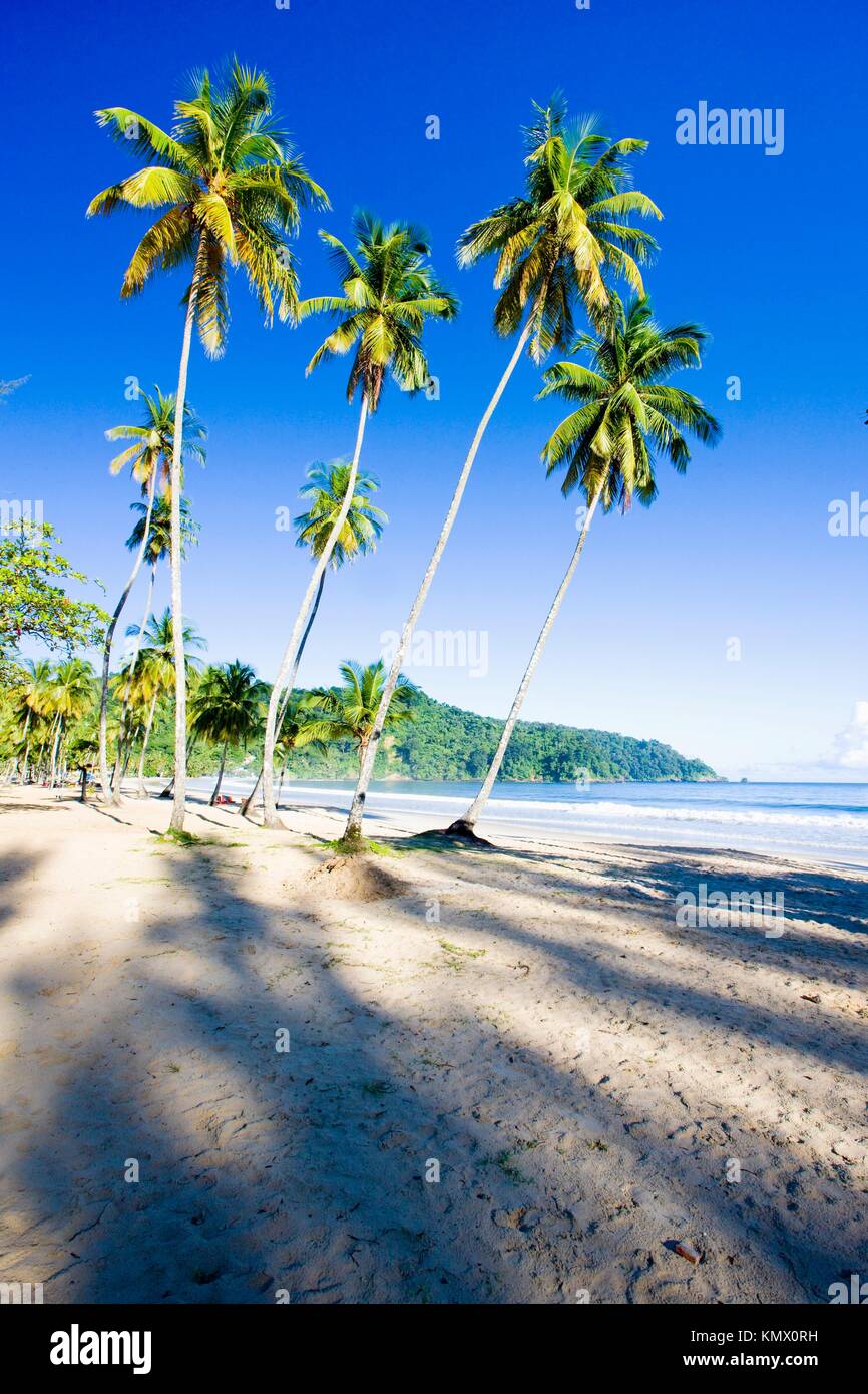 Maracas Bay, Trinidad Stock Photo Alamy