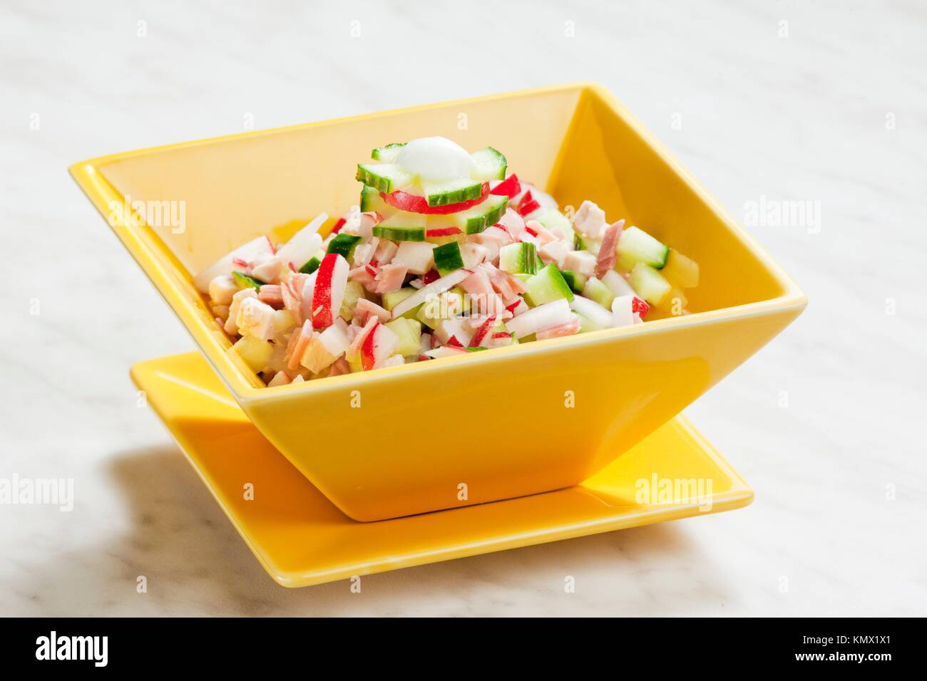 chicken salad with radishes and cucumber Stock Photo Alamy