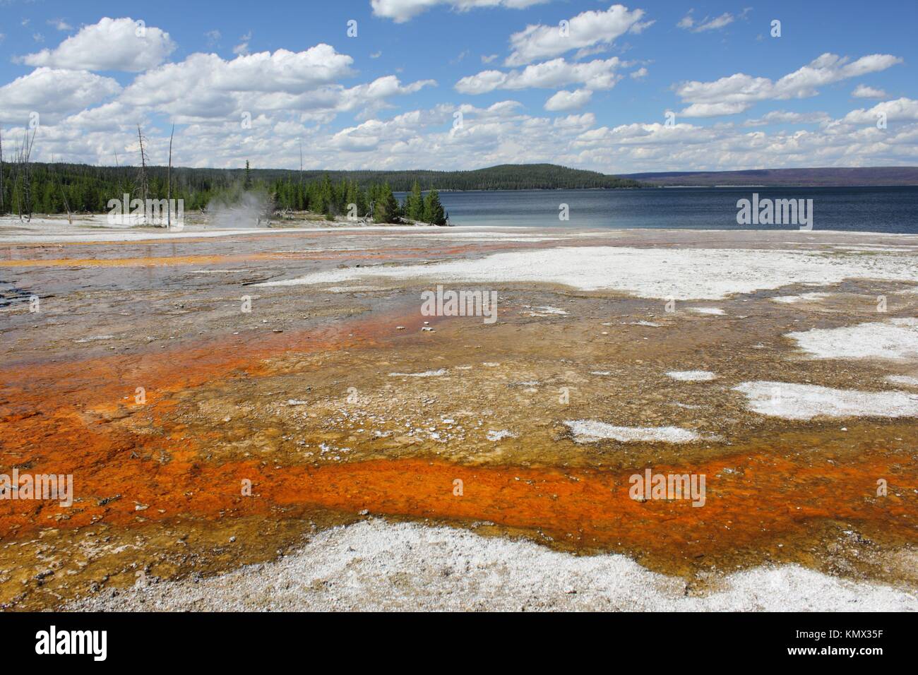 Bacterial mats below Black Pool, stretching toward Yellowstone Lake