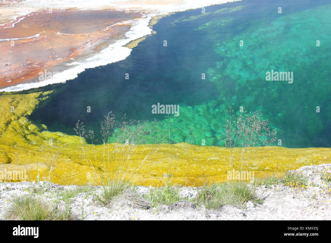 Hot spring, West Thumb Geyser Basin, Yellowstone Lake Area, Yellowstone