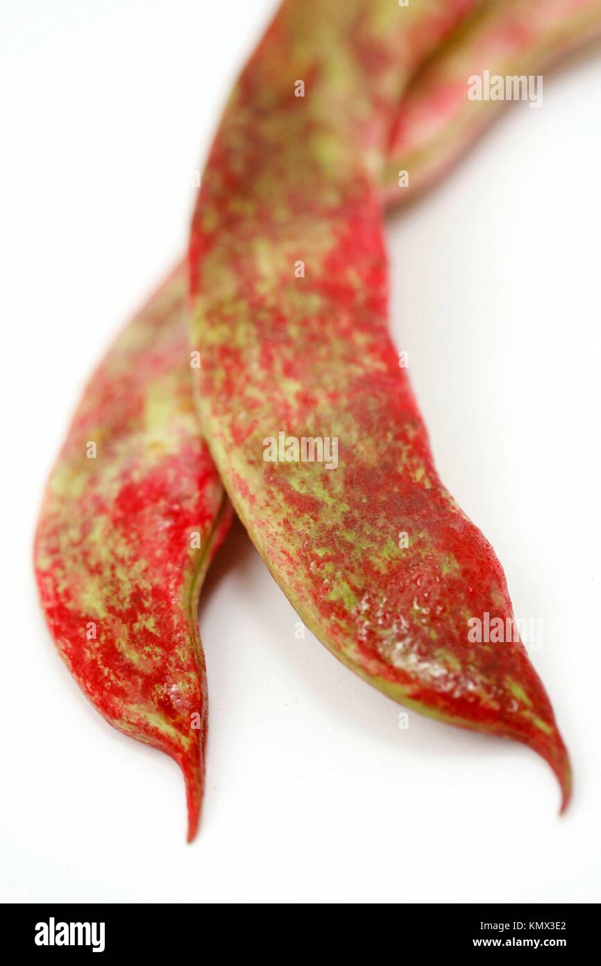 Cooking red french bean hires stock photography and images Alamy