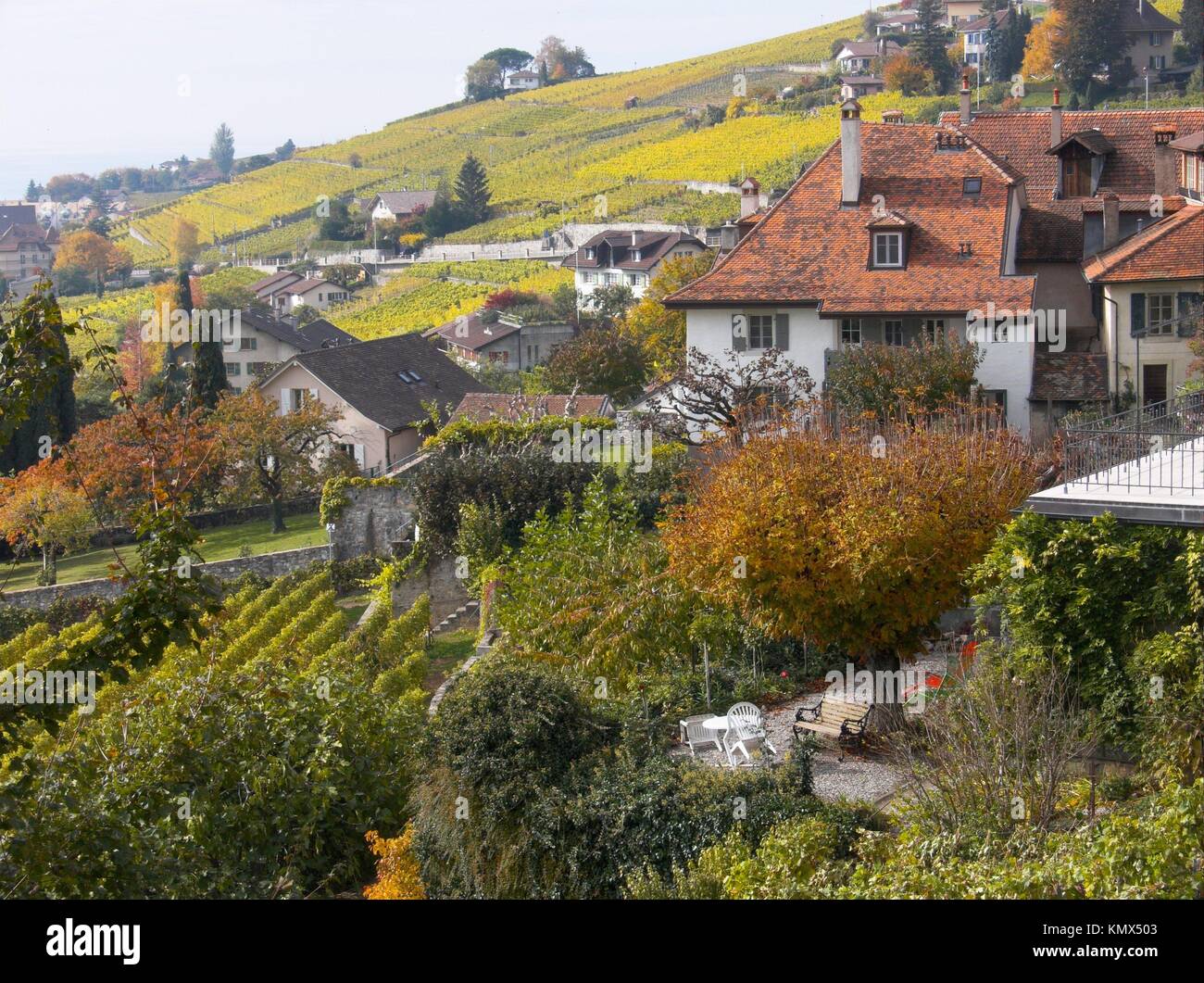 Terrasse de Lavaux, Epesses, Vaud, Switzerland Stock Photo - Alamy