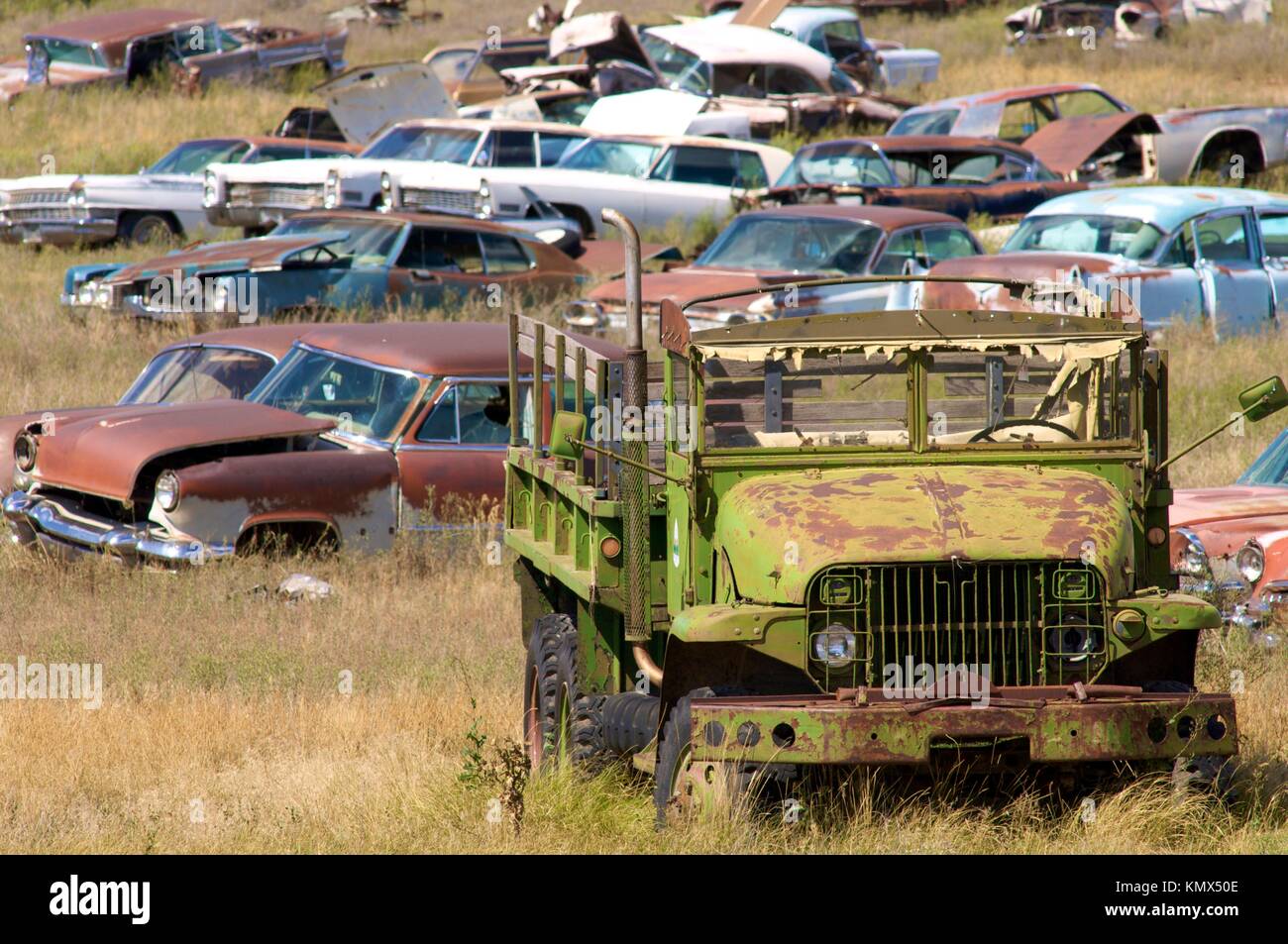 abandoned cars in a meadow Stock Photo Alamy