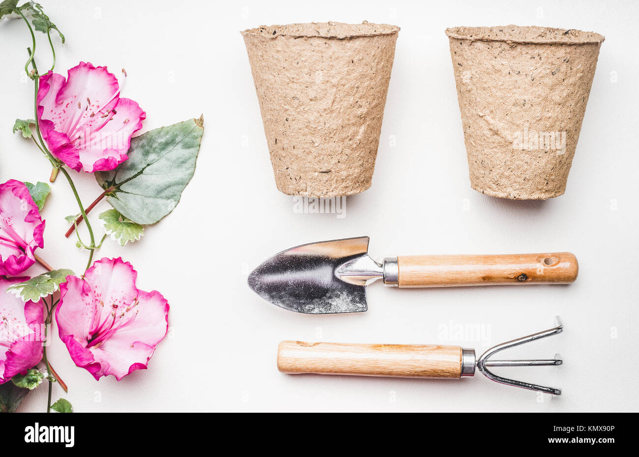Gardening equipment  flat lay for planting and weeding, with garden tools, flowers plant , pot  on white table background, top view Stock Photo